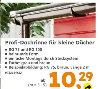 Globus Baumarkt Profi-Dachrinne für kleine Dächer Angebot