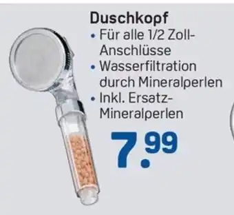 Rossmann Duschkopf Angebot