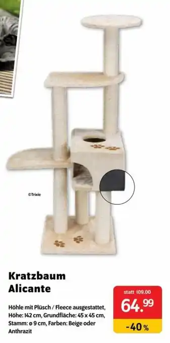 Kratzbaum Alicante Angebot bei Das Futterhaus