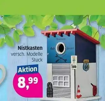 Budni Nistkasten Angebot