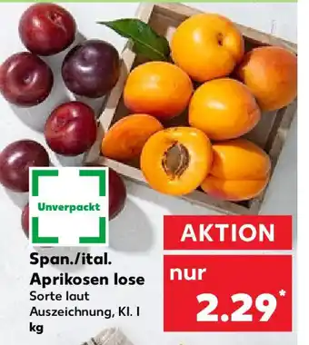 Kaufland Span./ital. Aprikosen lose Angebot