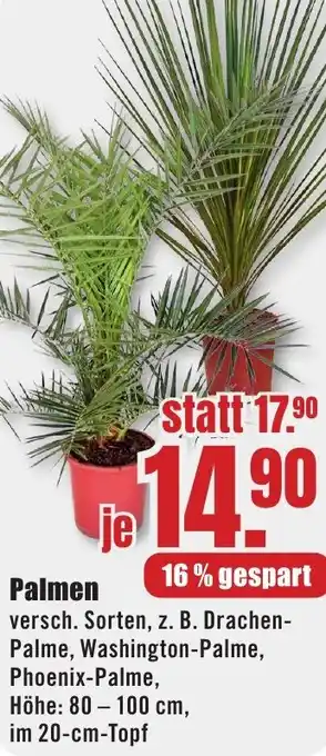 B1 Discount Baumarkt Palmen Angebot