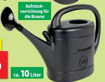 Thomas Philipps Gießkanne Recy Angebot