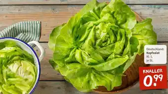 nahkauf Kopfsalat Angebot