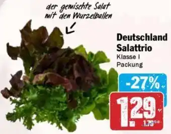 Hit Deutschland Salattrio Angebot