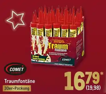 METRO Traumfontäne Angebot