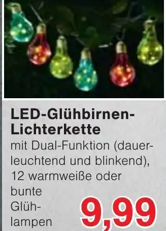 Wiglo Wunderland LED-Glühbirnen- Lichterkette Angebot