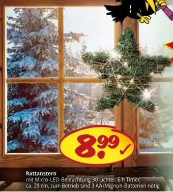 PicksRaus Rattanstern Angebot