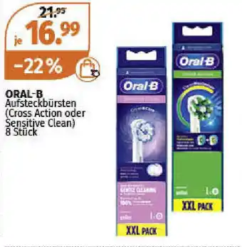 Müller Oral B Aufsteckbürsten Angebot