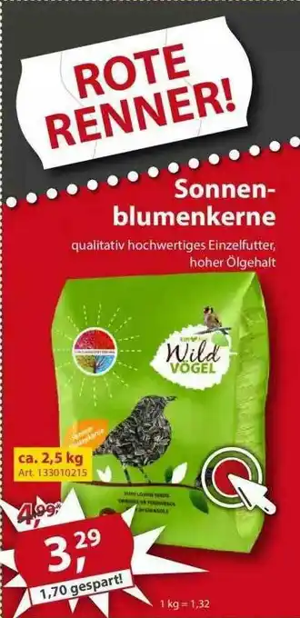 Sonderpreis Baumarkt Sonnen-blumenkerne Angebot