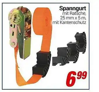 CENTERSHOP Spanngurt Angebot