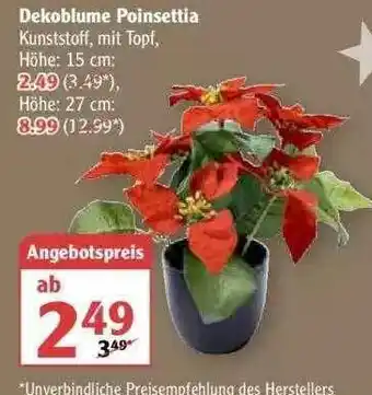 Globus Dekoblume Poinsettia Angebot