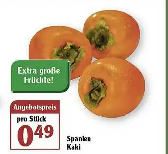 Globus Spanien Kaki Angebot