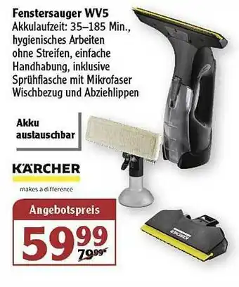 Globus Fenstersauger Wv5 Kärcher Angebot