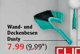 Globus Wand- Und Deckenbesen Dusty Angebot