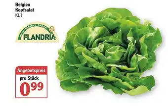 Globus Belgien Kopfsalat Angebot