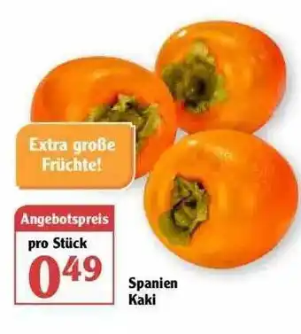 Globus Spanien Kaki Angebot