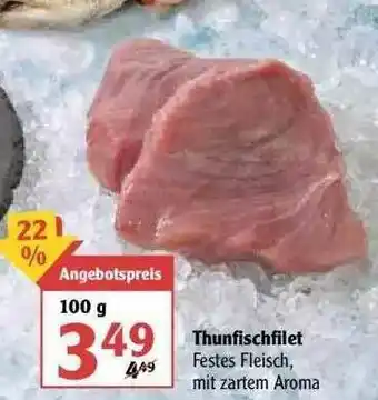 Globus Thunfischfilet Angebot