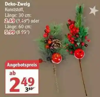 Globus Deko-zweig Angebot