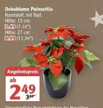 Globus Dekoblume Poinsettia Angebot