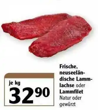 Globus Frische, Neuseeländische Lammlachse Oder Lammfilet Angebot