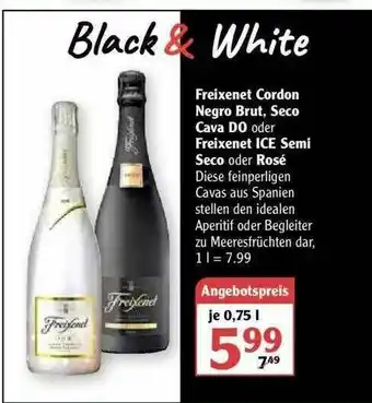 Globus Freixenet Cordon Negro Brut, Seco Cava Do Oder Freixenet ICE Semiseco Oder Rose Angebot