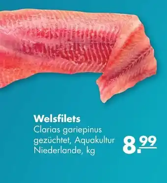 Handelshof Welsfilets Angebot