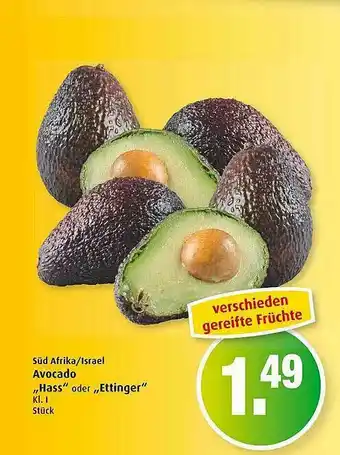 Markant Avocado Hass Oder Ettinger Angebot