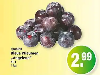 Markant Blau Pflaumen „angeleno” Angebot