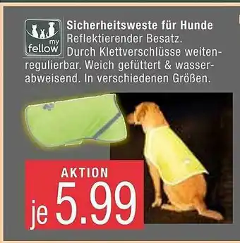 Marktkauf Sicherheitsweste Für Hunde My Fellow Angebot