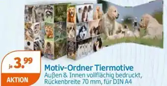 Müller Motiv-Ordner Tiermotive Angebot