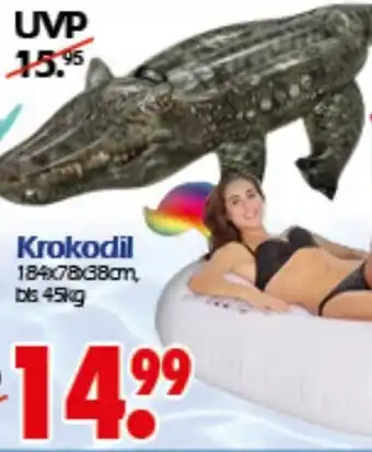 Wreesmann Krokodil Angebot