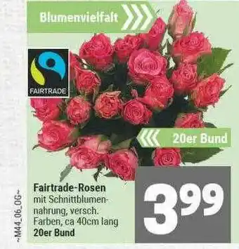 Marktkauf Fairtrade-rosen Angebot