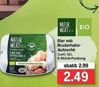 Famila Nord West Eier Mit Bruderhahn-aufzucht Natur Wert Bio Angebot