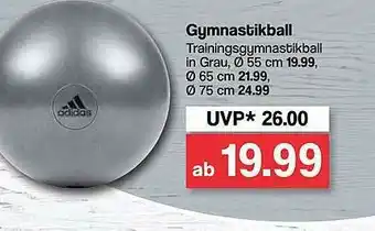 Famila Nord West Gymnastikball Angebot