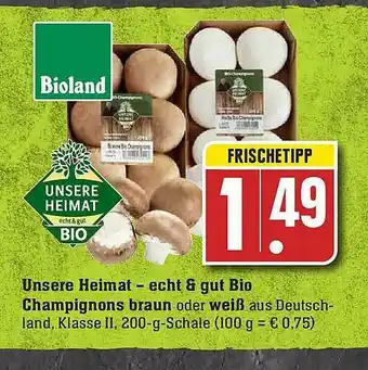 E-Center Unsere Heimat-echt & Gut Bio Champignons Braun Oder Weiß Angebot