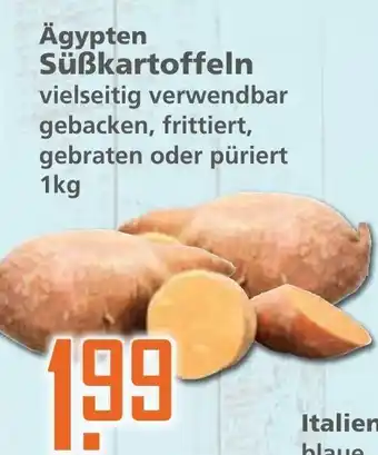 Klaas und Kock Ägypten Süßkartoffeln 1kg Angebot