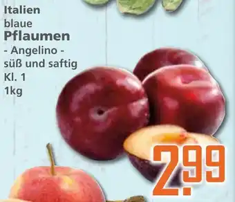 Klaas und Kock Italien blaue Pflaumen 1kg Angebot