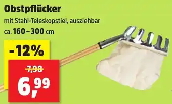 Thomas Philipps Obstpflücker Angebot