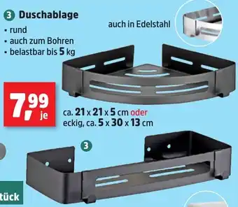 Thomas Philipps Duschablage Angebot