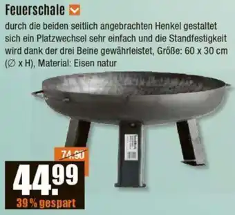 V Baumarkt Feuerschale Angebot