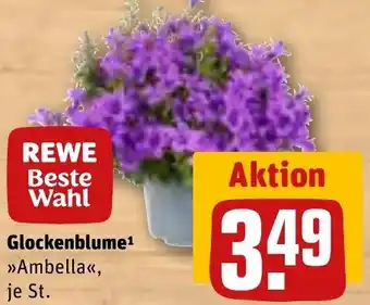 REWE Glockenblume Angebot