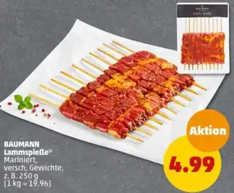PENNY BAUMANN Lammspieße 250 g Angebot