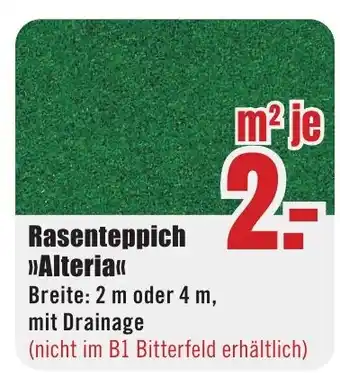 B1 Discount Baumarkt Rasenteppich >>Alteria<< Angebot