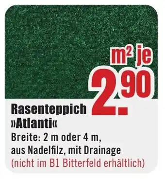 B1 Discount Baumarkt Rasenteppich >>Atlanti<< Angebot