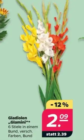 NETTO Gladiolen „Glamini Angebot