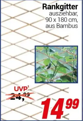 CENTERSHOP Rankgitter Angebot
