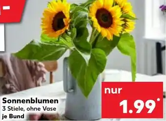 Kaufland Sonnenblumen Angebot