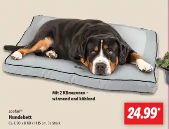 Lidl zoofari Hundebett Angebot