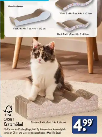 Aldi Nord CACHET Kratzmöbel Angebot